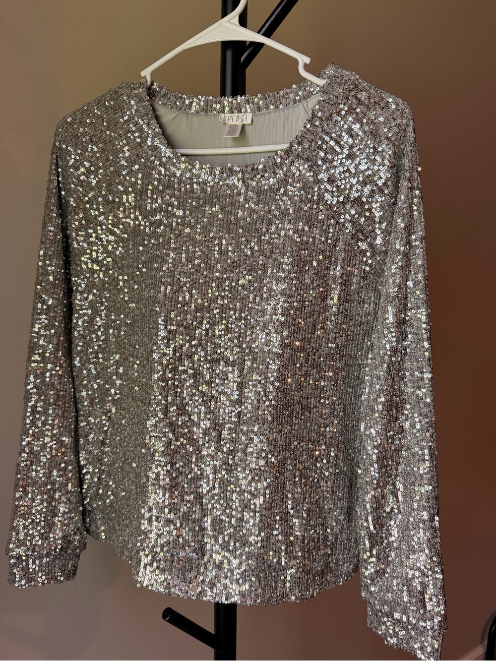 Spense Silver Sequin Long-Sleeve Pullover